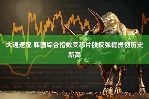 大通速配 韩国综合指数受芯片股反弹提振创历史新高