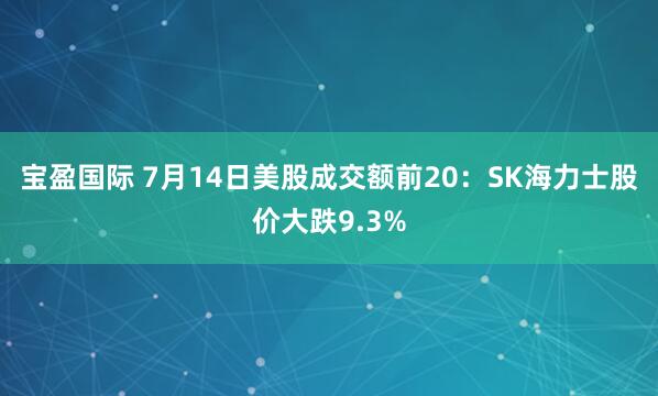 宝盈国际 7月14日美股成交额前20：SK海力士股价大跌9.3%