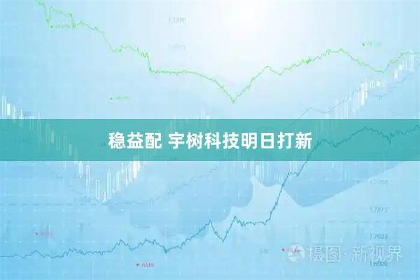 稳益配 宇树科技明日打新